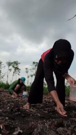 Musim Penghujan Tiba, Petani di Kalurahan Grogol Mulai Tanam Benih