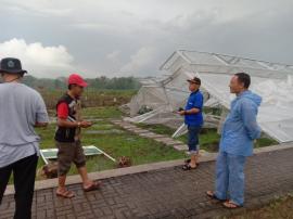 Panewu Paliyan Meninjau Lokasi Dampak Angin Kencang di Grogol